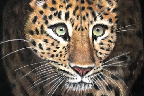Karens-Art-panter_1 Karens-Art-panter_1
