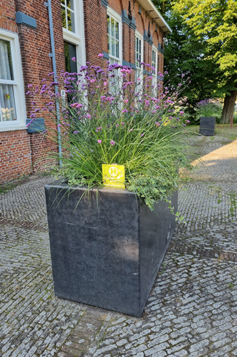 Gevulde-plantenbak-voor-de-hofboerderij-op-20240724