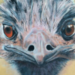 dierenportret-struisvogel-peter-franse dierenportret-struisvogel-peter-franse
