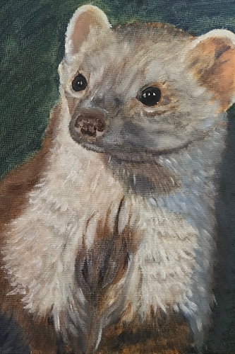 dierenportret-knaagdier-peter-franse