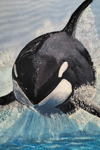 dierenportret-orca-peter-franse