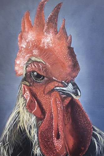 natalja-van-luijk-stinis-haan