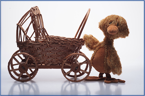 willie-van-den-ende-een-berencollectie-2