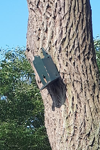 nestkastproject_een-armzalig-huisje-zoomin