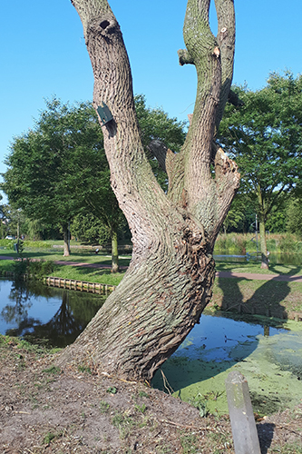 nestkastproject_een-armzalig-huisje